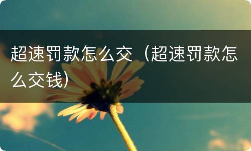 超速罚款怎么交（超速罚款怎么交钱）