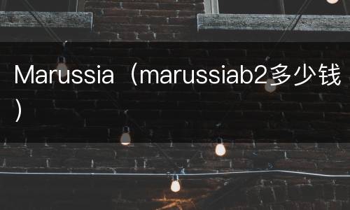 Marussia（marussiab2多少钱）