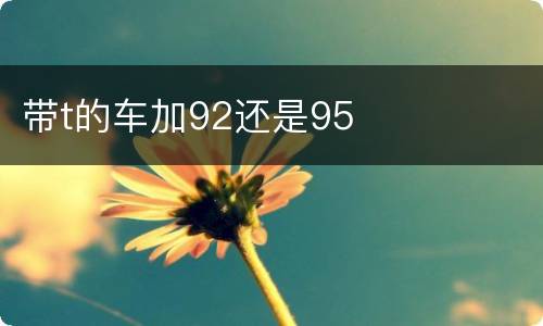 带t的车加92还是95