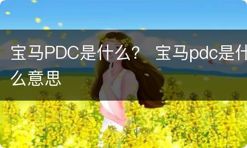 宝马PDC是什么？ 宝马pdc是什么意思