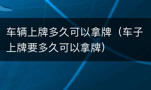 车辆上牌多久可以拿牌（车子上牌要多久可以拿牌）