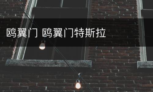 鸥翼门 鸥翼门特斯拉