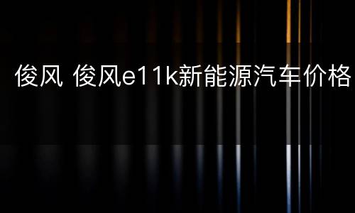 俊风 俊风e11k新能源汽车价格
