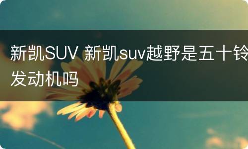 新凯SUV 新凯suv越野是五十铃发动机吗