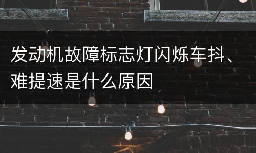 发动机故障标志灯闪烁车抖、难提速是什么原因