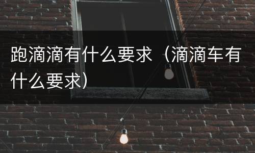 跑滴滴有什么要求（滴滴车有什么要求）
