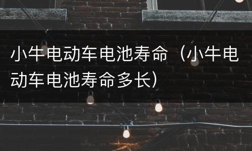 小牛电动车电池寿命（小牛电动车电池寿命多长）