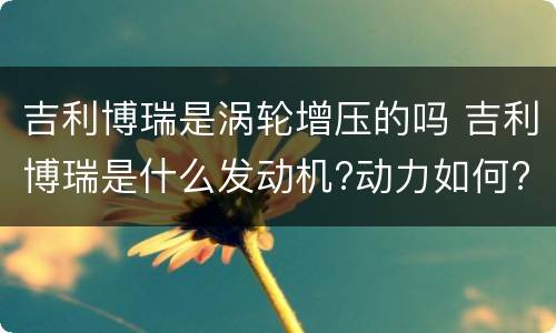 吉利博瑞是涡轮增压的吗 吉利博瑞是什么发动机?动力如何?