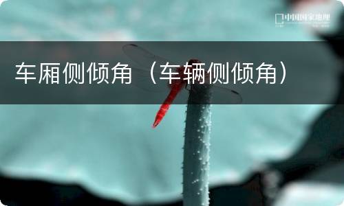 车厢侧倾角（车辆侧倾角）