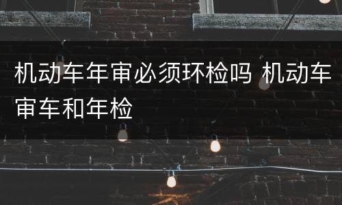 机动车年审必须环检吗 机动车审车和年检