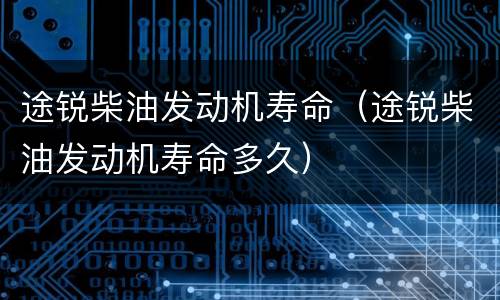 途锐柴油发动机寿命（途锐柴油发动机寿命多久）