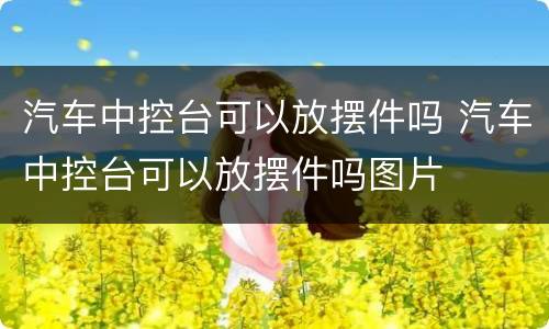 汽车中控台可以放摆件吗 汽车中控台可以放摆件吗图片