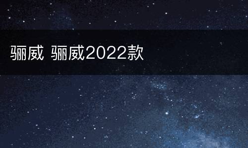 骊威 骊威2022款