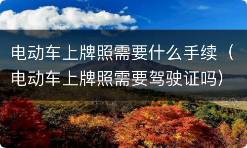 电动车上牌照需要什么手续（电动车上牌照需要驾驶证吗）