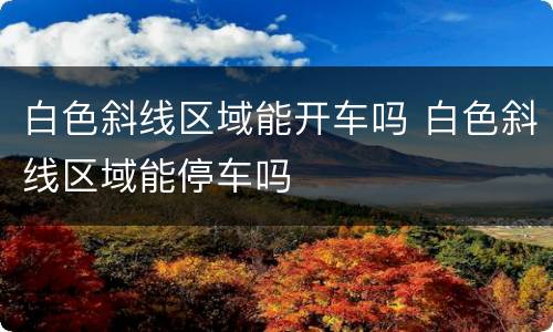 白色斜线区域能开车吗 白色斜线区域能停车吗