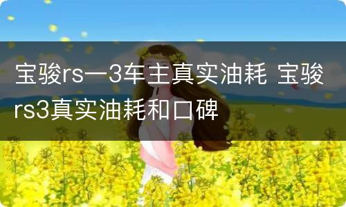宝骏rs一3车主真实油耗 宝骏rs3真实油耗和口碑