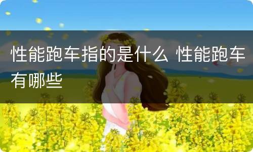 性能跑车指的是什么 性能跑车有哪些