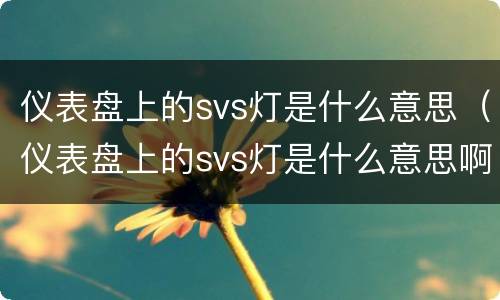 仪表盘上的svs灯是什么意思（仪表盘上的svs灯是什么意思啊）