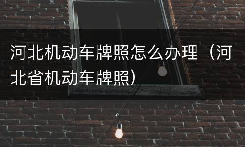 河北机动车牌照怎么办理（河北省机动车牌照）