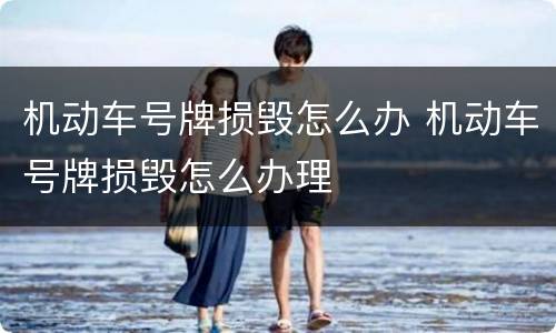 机动车号牌损毁怎么办 机动车号牌损毁怎么办理