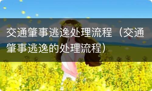 交通肇事逃逸处理流程（交通肇事逃逸的处理流程）