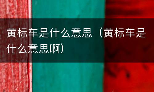 黄标车是什么意思（黄标车是什么意思啊）