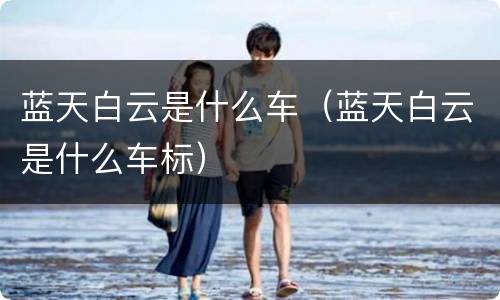 蓝天白云是什么车（蓝天白云是什么车标）