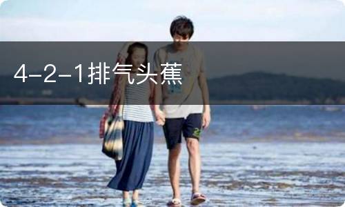 4-2-1排气头蕉