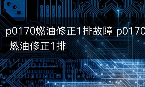 p0170燃油修正1排故障 p0170 燃油修正1排