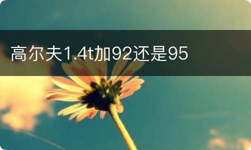 高尔夫1.4t加92还是95