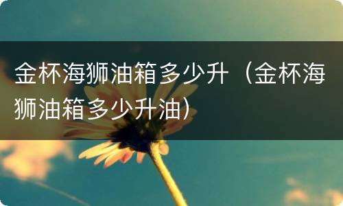金杯海狮油箱多少升（金杯海狮油箱多少升油）