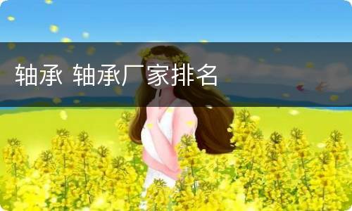 轴承 轴承厂家排名