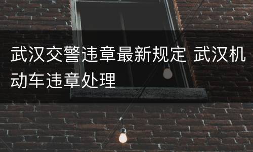 武汉交警违章最新规定 武汉机动车违章处理