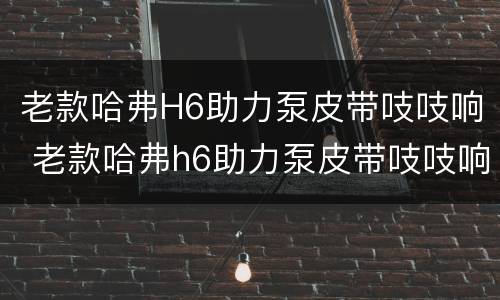 老款哈弗H6助力泵皮带吱吱响 老款哈弗h6助力泵皮带吱吱响怎么回事