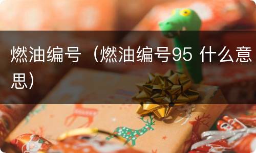燃油编号（燃油编号95 什么意思）