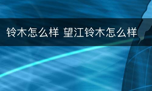 铃木怎么样 望江铃木怎么样