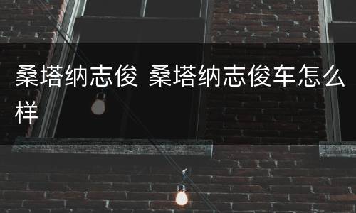 桑塔纳志俊 桑塔纳志俊车怎么样