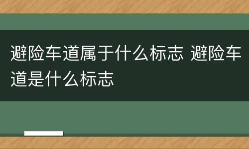 避险车道属于什么标志 避险车道是什么标志