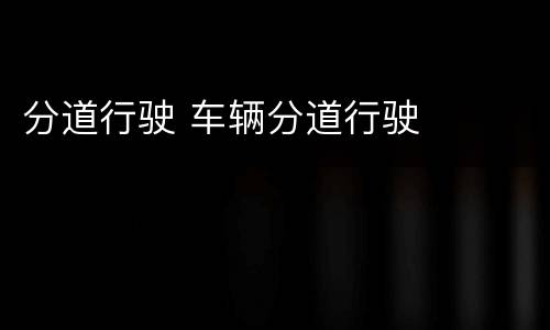 分道行驶 车辆分道行驶