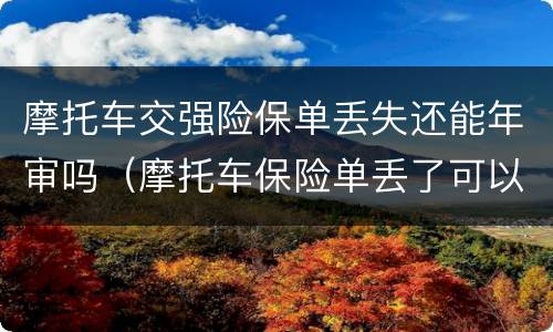摩托车交强险保单丢失还能年审吗（摩托车保险单丢了可以年审吗）
