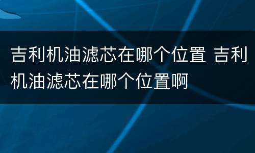 吉利机油滤芯在哪个位置 吉利机油滤芯在哪个位置啊