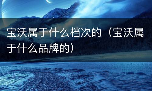 宝沃属于什么档次的（宝沃属于什么品牌的）