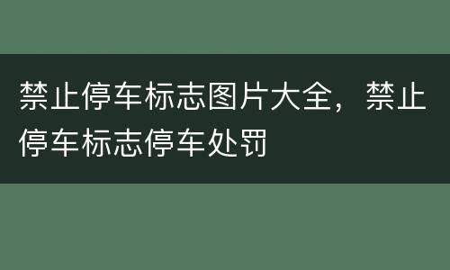 禁止停车标志图片大全，禁止停车标志停车处罚