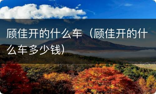 顾佳开的什么车（顾佳开的什么车多少钱）