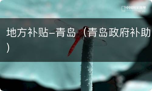 地方补贴-青岛（青岛政府补助）