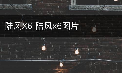 陆风X6 陆风x6图片