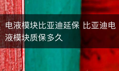 电液模块比亚迪延保 比亚迪电液模块质保多久