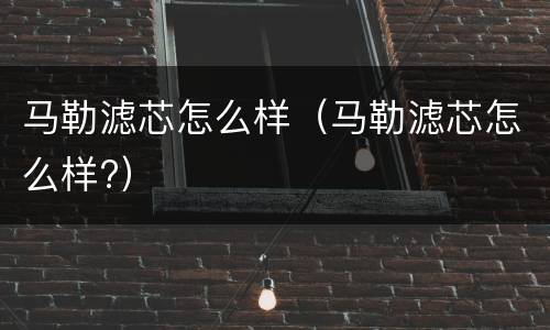 马勒滤芯怎么样（马勒滤芯怎么样?）