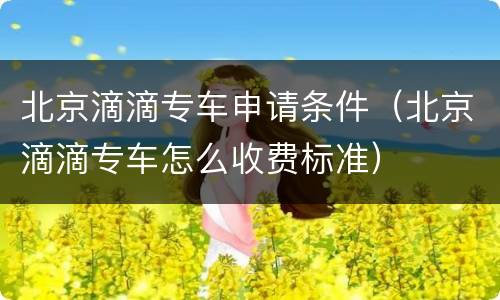 北京滴滴专车申请条件（北京滴滴专车怎么收费标准）