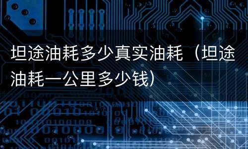 坦途油耗多少真实油耗（坦途油耗一公里多少钱）